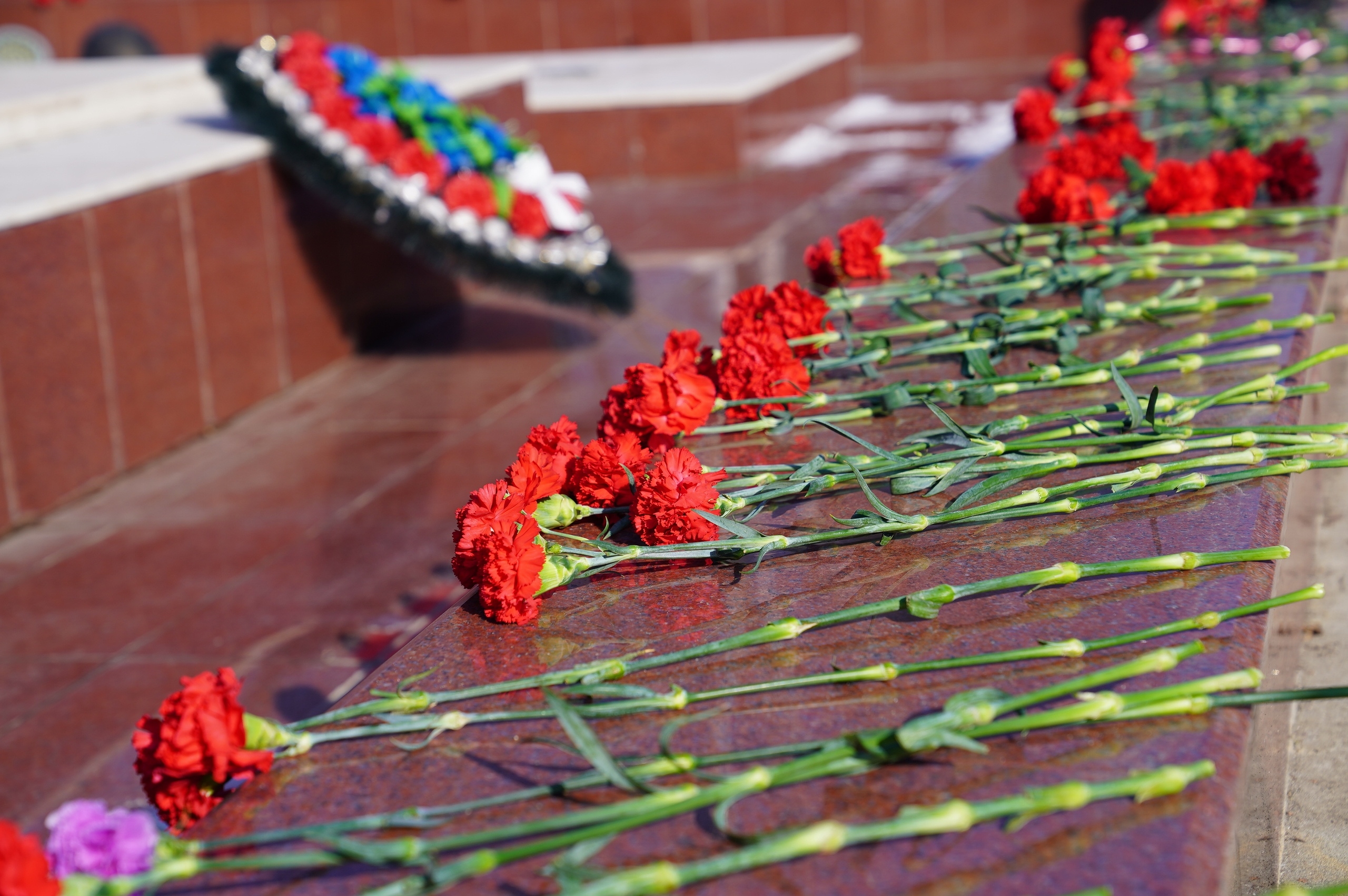 ���� ������������ ���������-���������� ������