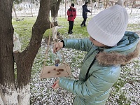 ������������� ����� "��������� ���� �����-2026"