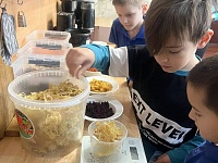 ������������ ������ ���� ��������� - ��������� �������� � ������ � ���������� �������� , �������������� �������� �����. ������