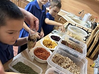 ������������ ������ ���� ��������� - ��������� �������� � ������ � ���������� �������� , �������������� �������� �����. ������