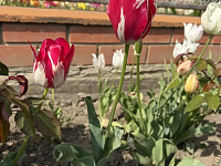 ���� ���������: ����� ��� ����������