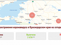 В Краснодарском крае подтвердилось 82 новых случая коронавируса