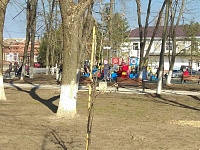 Сегодня в парке имени Ленина высадили 38 молодых деревьев. 