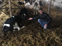 У молодого фермера из станицы Бриньковская растут 40 бычков