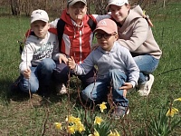 ������� ������ ������: ������ ������ � �������� 