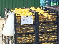 В овощных лавках и магазинчиках города подскочили цены на лимоны, чеснок