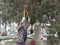 ��������� ���������� ����������� "������" � ������� ������� ������� ������� �� ����������� ��������