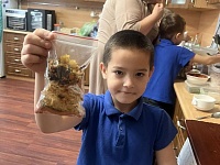 ������������ ������ ���� ��������� - ��������� �������� � ������ � ���������� �������� , �������������� �������� �����. ������