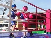 Команда Приморско-Ахтарского района приняла участие в Открытом первенстве по боксу