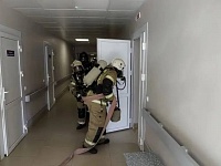 ��������-������� ������ �������� � ������