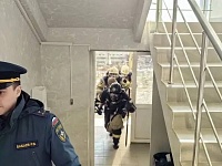 ��������-������� ������ �������� � ������