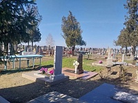 ��������� ���������� ����������� "������" � ������� ������� ������� ������� �� ����������� ��������