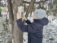 ������������� ����� "��������� ���� �����-2026"