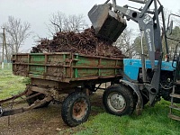 � ������ ������������ ������ �� ��������� ����������� ������� � ��������������� ����������