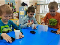 � ������� ���� 7 ������� ������ ������� �� ����: "��� ����� ����� ?"