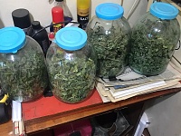 ����������� ������� ���������������� � ���������� ������� ����������