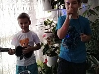 � ���������� ��� ������������ �������� ���� �12 ������������������ ������� � �������� ����������� ������!