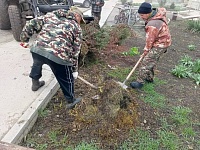 � ������ ������������ ������ �� ��������� ����������� ������� � ��������������� ����������