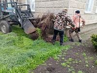 � ������ ������������ ������ �� ��������� ����������� ������� � ��������������� ����������