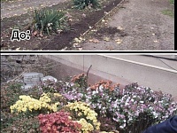 � ������� ������������ ������� ������