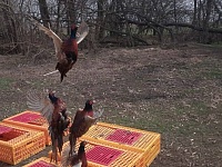 200      -  