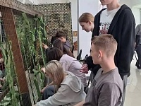 � ���� �������� ��. ������������ ������ �������������� ������-����� �������������� ����