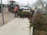 � ������ ������������ ������ �� ��������� ����������� ������� � ��������������� ����������