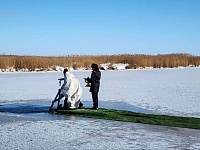 � ����� ��. ������������ ������ ������������ ��������, �� ��������� ������� ��������� �������� ��� � ���� ������. 