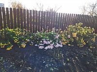 � ������� ������������ ������� ������