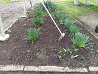 � ������ ������������ ������ �� ��������� ����������� ������� � ��������������� ����������