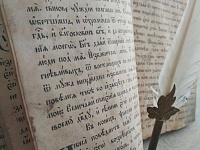 ������� � ���� �������� ���. ���������� ������������ ������� ������������ ������� ������������ ����������� "���� ���������� ������������"