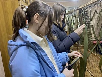 �������� �� ����������� ����� ��� ������ � ����� ������ ������� ���� �������� ��������  ������������ ����������� "300.30.3"