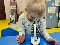 � ������� ���� 7 ������� ������ ������� �� ����: "��� ����� ����� ?"