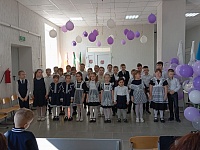 8  -  ,    
