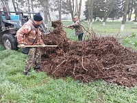 � ������ ������������ ������ �� ��������� ����������� ������� � ��������������� ����������